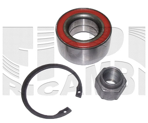 Wheel Bearing Kit (RC4019)