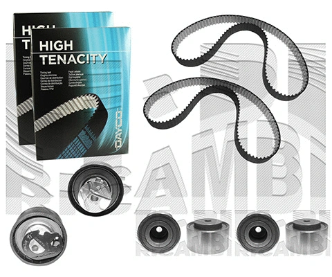 Timing Belt Kit (0655KP)