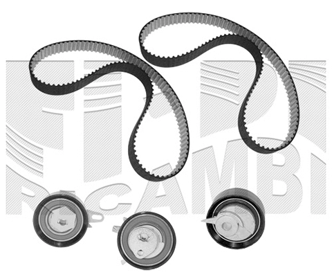 Timing Belt Kit (0391KW)