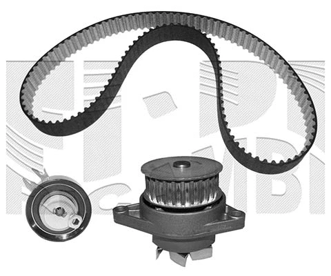 Water Pump & Timing Belt Kit (0149KWW)