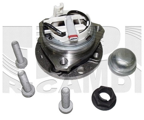 Wheel Bearing Kit (RC4431)