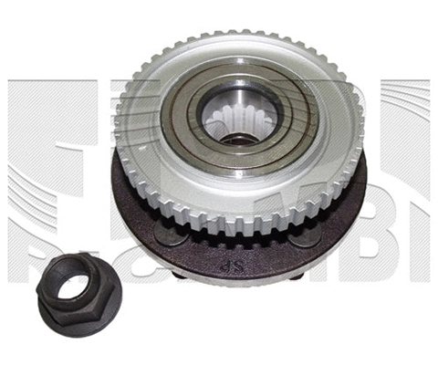 Wheel Bearing Kit (RC6002)