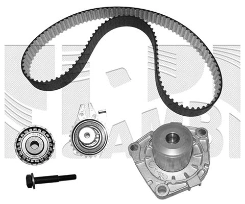 Water Pump & Timing Belt Kit (0508KFW)