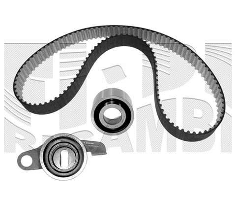 Timing Belt Kit (0461KR)