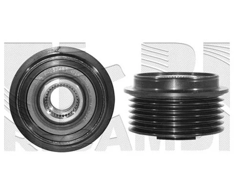 Alternator Freewheel Clutch (10366)
