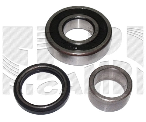 Wheel Bearing Kit (RC1344)