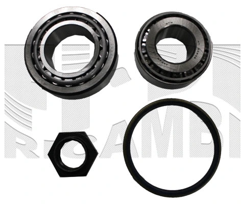 Wheel Bearing Kit (RC10520)