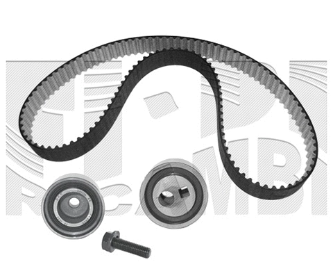 Timing Belt Kit (0041KP)
