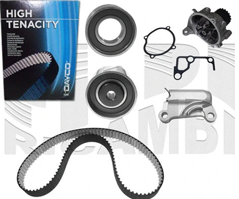 Water Pump & Timing Belt Kit (0434KMW)