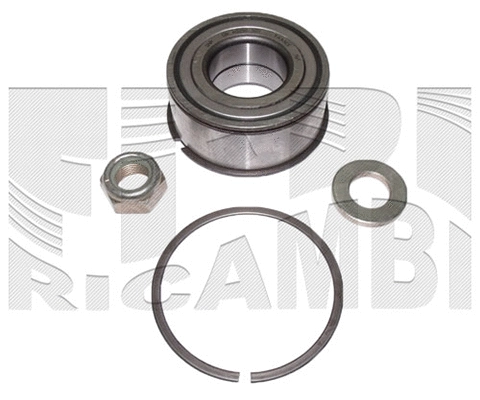 Wheel Bearing Kit (RC3005)