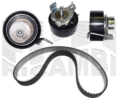 Timing Belt Kit (0613KF)