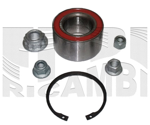 Wheel Bearing Kit (RC1002)