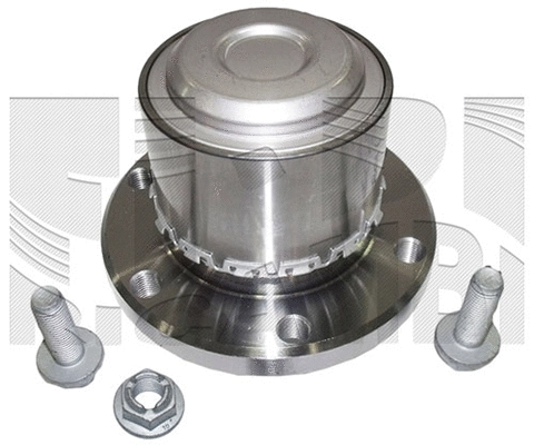 Wheel Bearing Kit (RC6801)