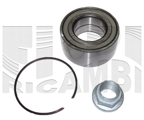 Wheel Bearing Kit (RC2003)