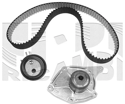 Water Pump & Timing Belt Kit (0213KNW)