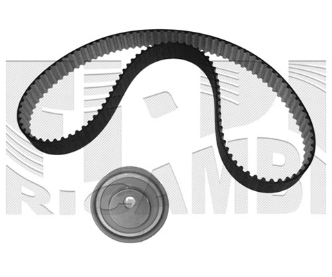 Timing Belt Kit (0509KK)