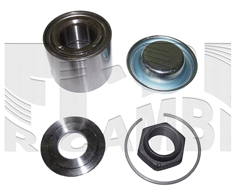 Wheel Bearing Kit (RC5061)