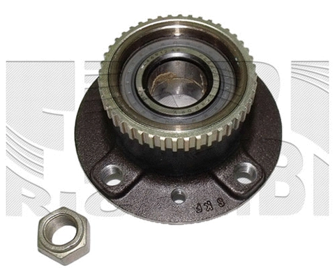 Wheel Bearing Kit (RC6041)