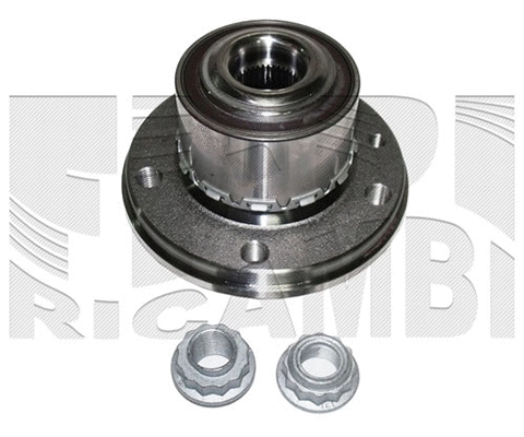 Wheel Bearing Kit (RC1076)
