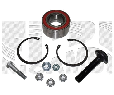 Wheel Bearing Kit (RC1005)
