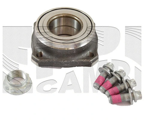 Wheel Bearing Kit (RC4957)