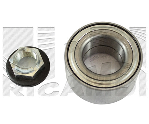 Wheel Bearing Kit (RC7841H)