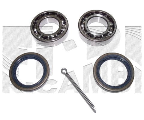 Wheel Bearing Kit (RC6711)