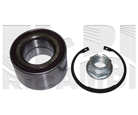 Wheel Bearing Kit (RC2704)