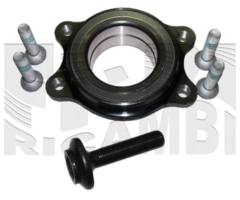 Wheel Bearing Kit (RC1090)