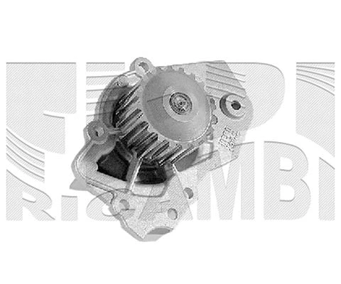 Water Pump, engine cooling (WPC489)