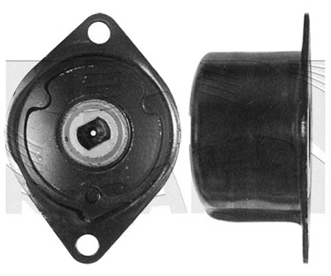 Belt Tensioner, V-ribbed belt (30066)