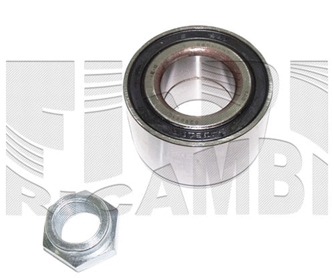 Wheel Bearing Kit (RC6025)