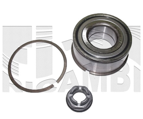 Wheel Bearing Kit (RC3092)