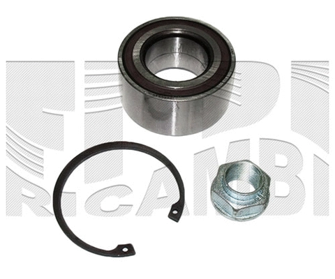 Wheel Bearing Kit (RC1745)