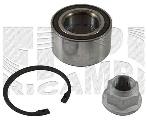 Wheel Bearing Kit (RC1625)