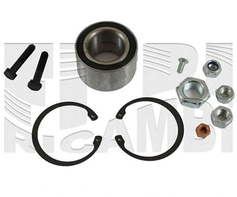 Wheel Bearing Kit (RC1013)