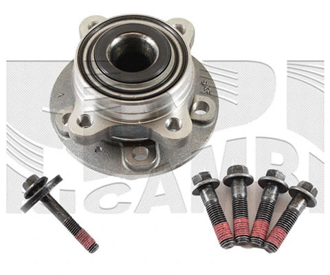 Wheel Bearing Kit (RC1861)