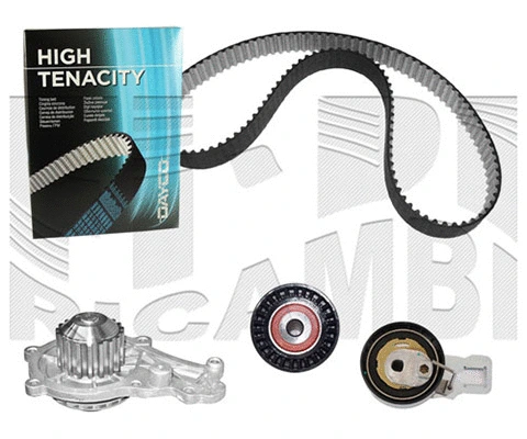 Water Pump & Timing Belt Kit (0651KFW)