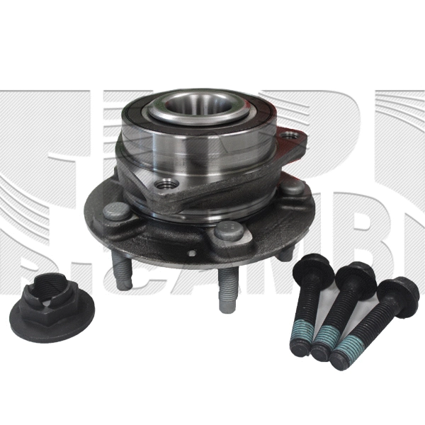 Wheel Bearing Kit (RC4523)