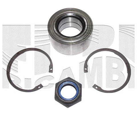 Wheel Bearing Kit (RC7848)