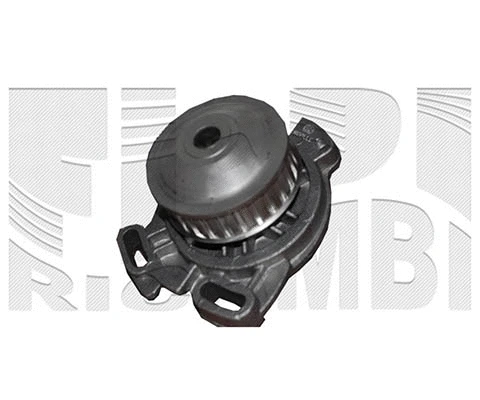 Water Pump, engine cooling (WPC491)