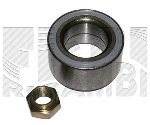 Wheel Bearing Kit (RC1016)