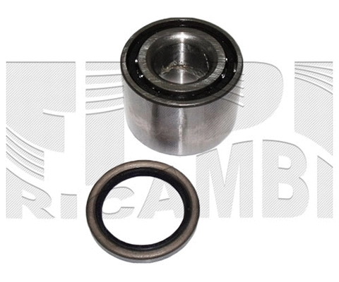 Wheel Bearing Kit (RC1823)