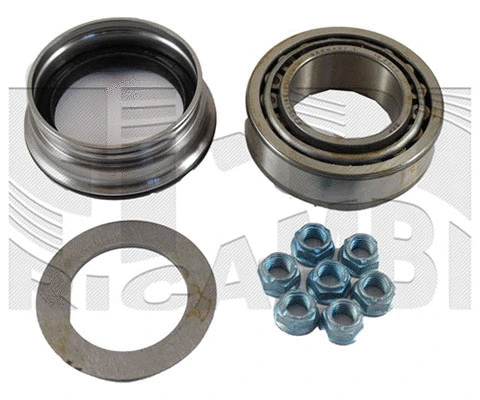 Wheel Bearing Kit (RC6756)
