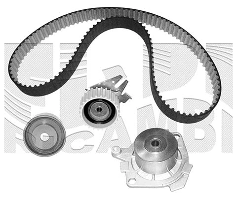 Water Pump & Timing Belt Kit (0203KFW)