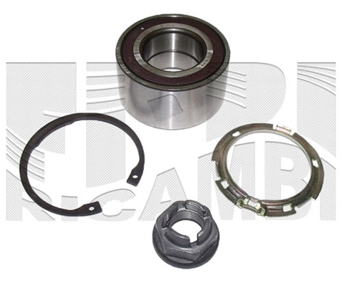 Wheel Bearing Kit (RC3099)