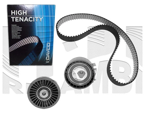 Timing Belt Kit (0439KR)