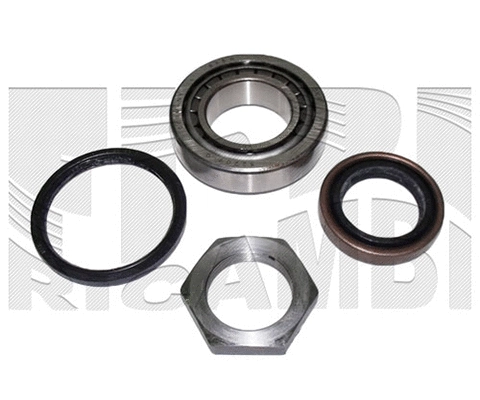 Wheel Bearing Kit (RC1359)