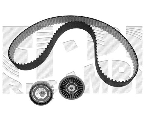 Timing Belt Kit (0200KN)