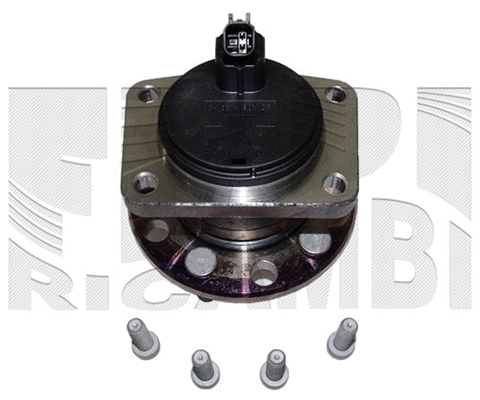Wheel Bearing Kit (RC7843)
